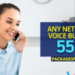 Telenor Any Network Voice Bundle 550