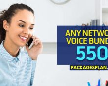 Telenor Any Network Voice Bundle 550